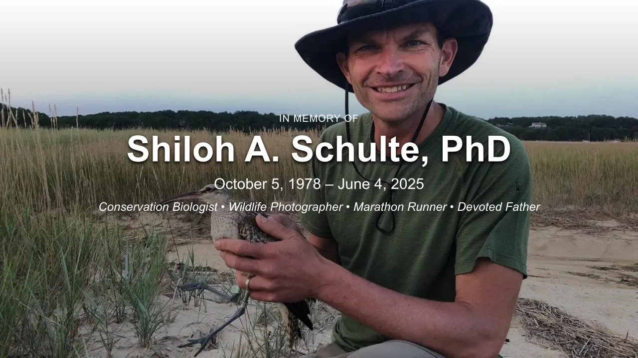 Shiloh A. Schulte, PhD Memorial Archive screenshot