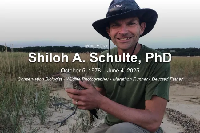 Shiloh A. Schulte, PhD Memorial Archive screenshot